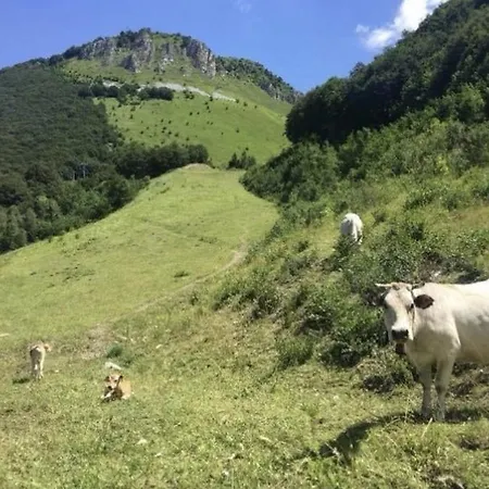 Morel 1586 & Limone Piemonte